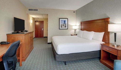 Room, 1 King Bed, Hearing Accessible (Roll in Shower)