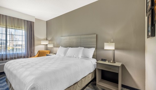 Comfort Room, 1 King Bed, Non Smoking