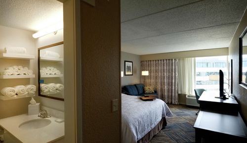 Room, 1 King Bed with Sofa bed, Accessible