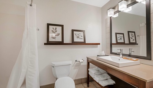 Suite, 1 Bedroom, Non Smoking