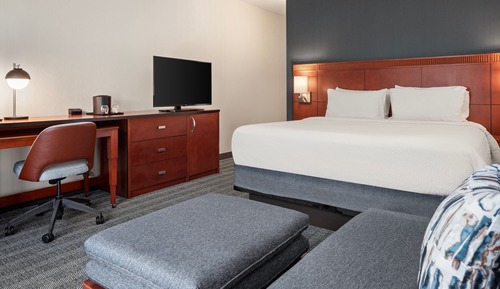 Room, 1 King Bed with Sofa bed