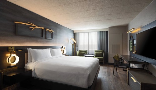 Room, 1 King Bed