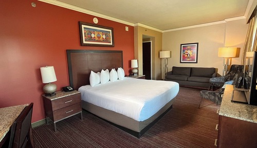 Studio Suite, 1 King Bed (Adults 21yrs or older Only)