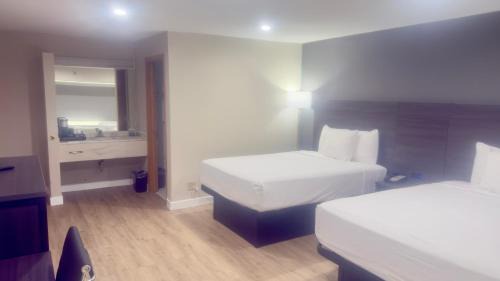 Double Room with Two Double Beds
