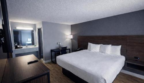 Standard King Room