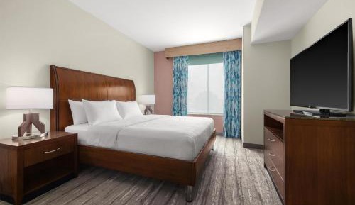 Junior King Suite with Sofa Bed