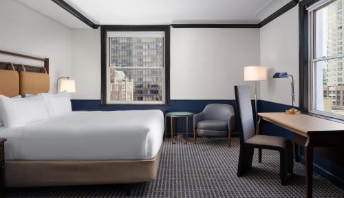 King Studio Suite with Sofa Bed