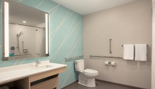 King Room with Hearing Accessible Roll In Shower - Non-Smoking
