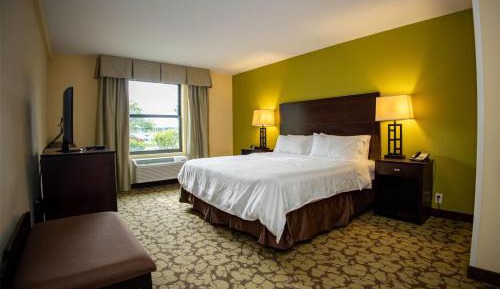 One-Bedroom King Suite - Non-Smoking