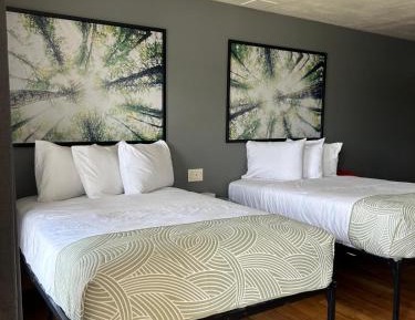 Double Room - Non-Smoking 