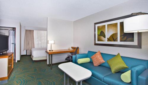 King Suite with Sofa Bed