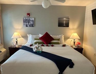 Deluxe Queen Suite