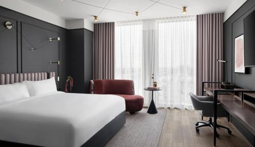 Guest Room, 1 King
