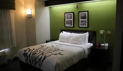 Queen Room - Accessible/Non-Smoking