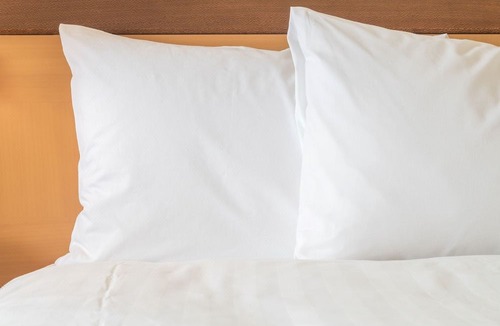 Algonquin Hotel | Holiday Inn Express Hotel & Suites Chicago-Algonquin, an Ihg Hotel