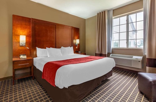Delavan Hotel | Comfort Suites Delavan - Lake Geneva Area
