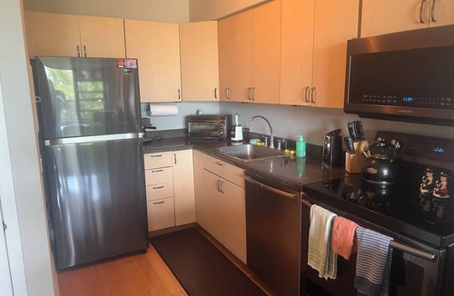 Lincoln Park Condo | Luxury Gold Coast furnished one bedroom located just steps to Lake Michigan!