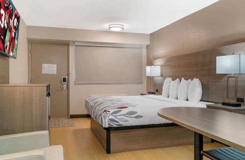 Rochester Hills Hotel | Red Roof Inn Detroit-Rochester Hills/Auburn Hills