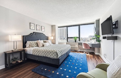 South Loop Apartment | MICH AVE Downtown, Park, Museums 2bd #4