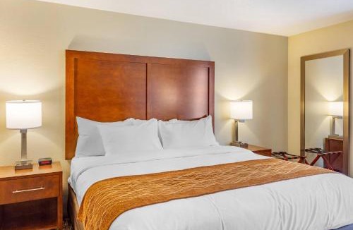 DeKalb Hotel | Comfort Inn DeKalb - University Area