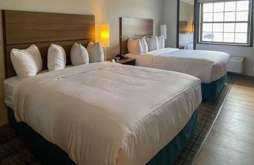 Oakbrook Terrace Hotel | MainStay Suites Oakbrook Terrace - Chicago