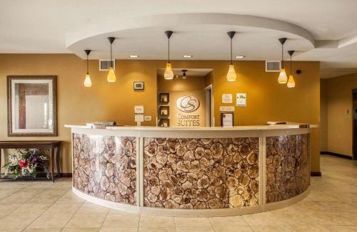 Bloomington Hotel | Comfort Suites Bloomington I-55 and I-74