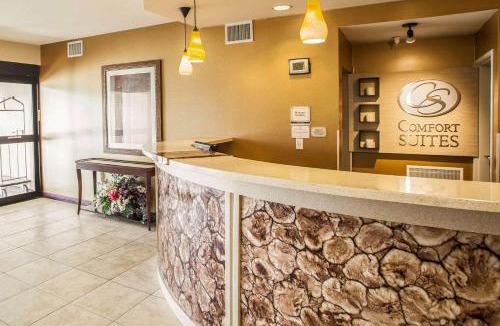 Bloomington Hotel | Comfort Suites Bloomington I-55 and I-74