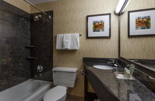 Evanston Hotel | Holiday Inn Chicago North-Evanston by IHG