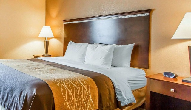 Quality Inn & Suites Mount Pleasant