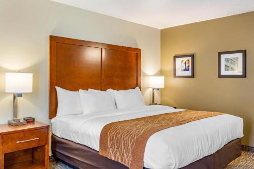 Comfort Inn DeKalb - University Area