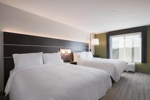 Holiday Inn Express & Suites Chicago - Hoffman Estates by IHG